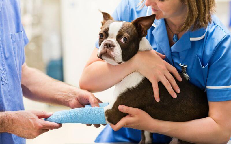 ANESTHESIA AND SURGERY