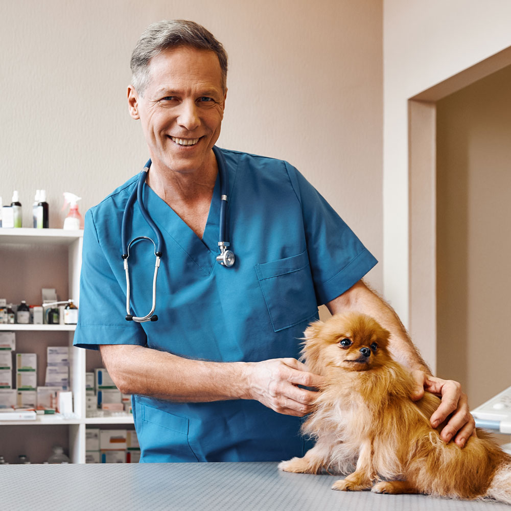 caring-vet-with-a-pomeranian caring-vet-with-a-pomeranian