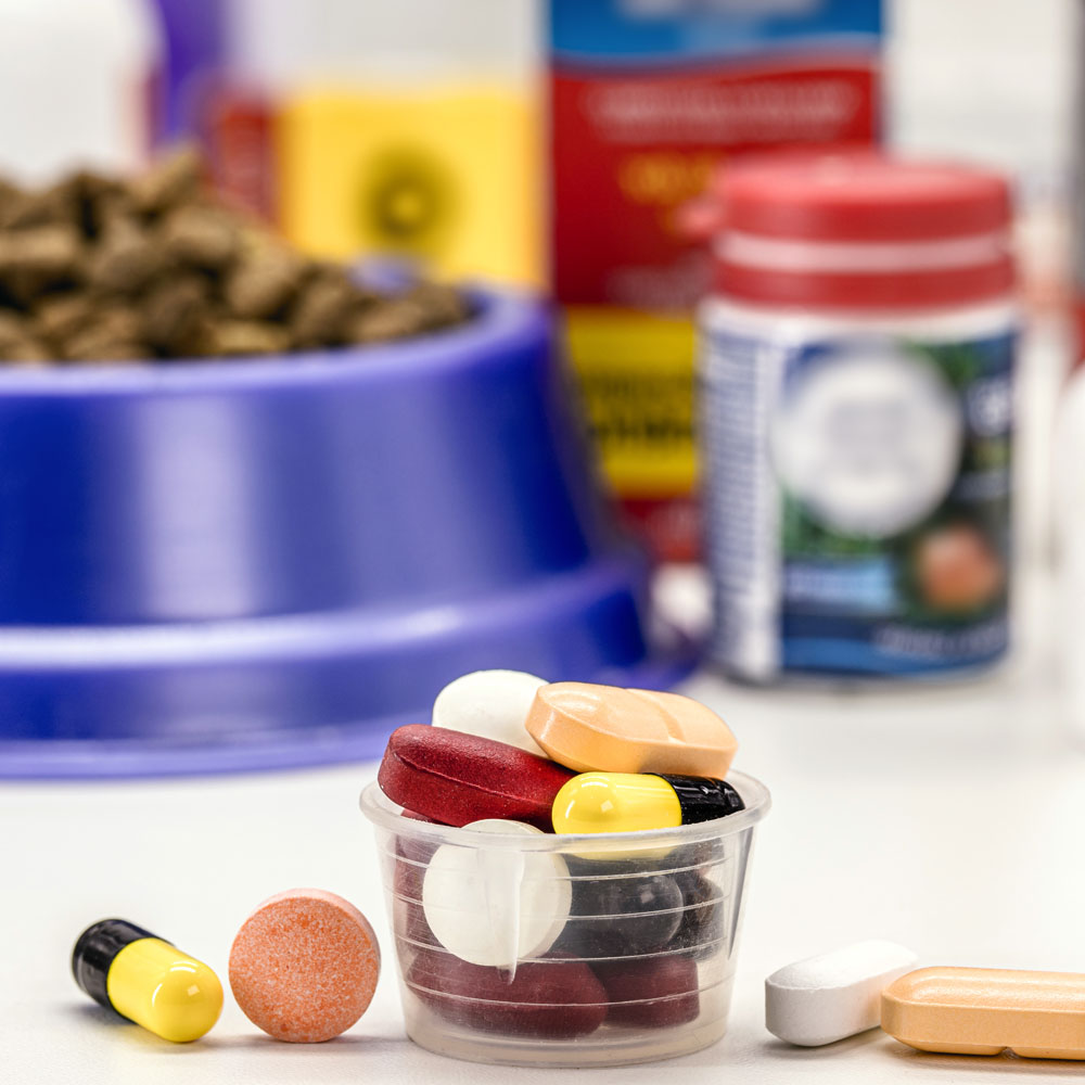 pet-vitamine-medicine