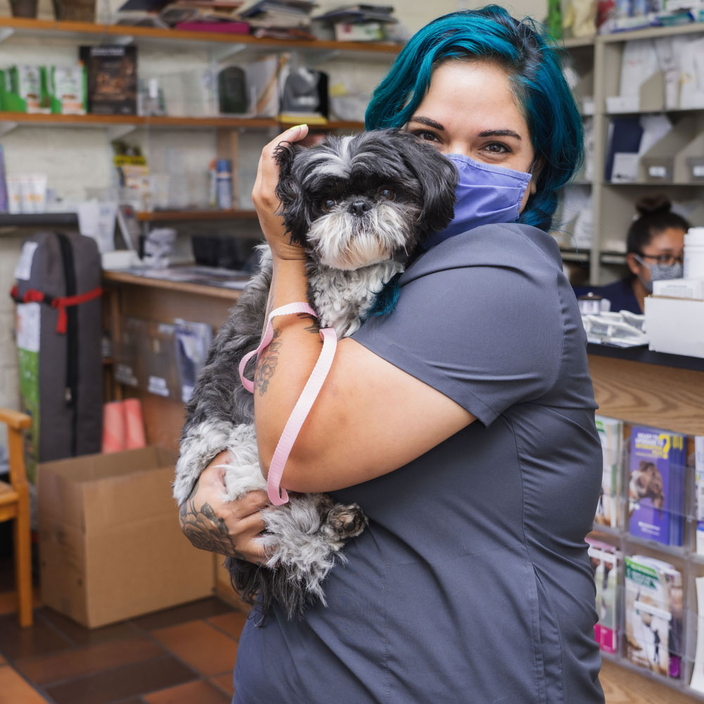 vet's-love-a-warm-hug-for-a-furry-friend